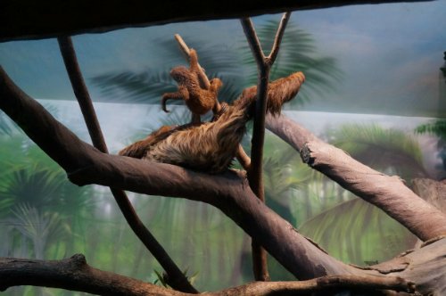 Воронежский океанариум — Туризм и путешествия: фотоотчеты из поездок