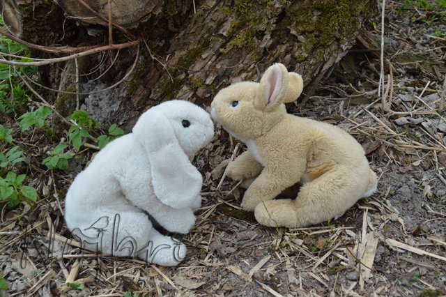 Находка. Вихтели от Rosemarie Anna Muller (фото 6)