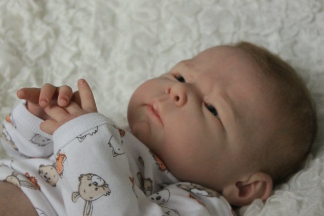 Мальчик Ноэльчик... Куколка реборн Виктории Вишни