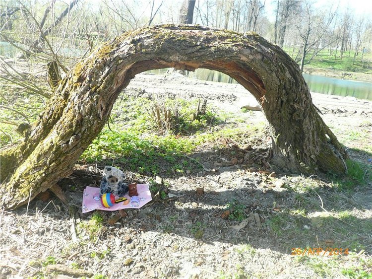 Про Мишку. Коллекционный Мишка Панда от Charlie Bears