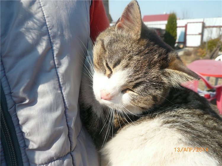Вербное воскресенье. Кукла Лёля, Ли Миддлетон | Бэйбики Вербное воскресенье. Кукла Лёля, Ли Миддлетон