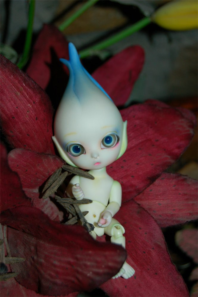 Цветы Dollzone, продолжение (фото 3)