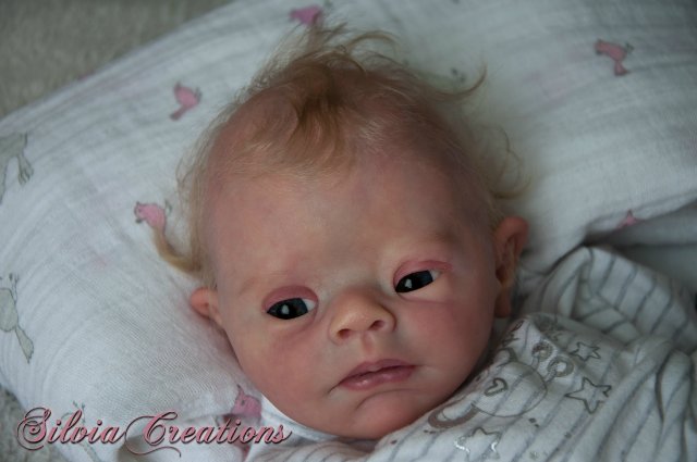 Молд с синдромом дауна PEBBLES в исполнении SILVIACREATIONS