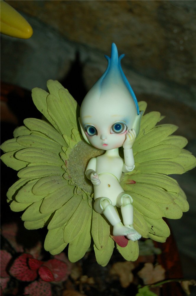 Цветы Dollzone, продолжение (фото 2)