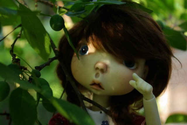 Маленькое приключение в саду цветов. Connie Lowe (фото 9)