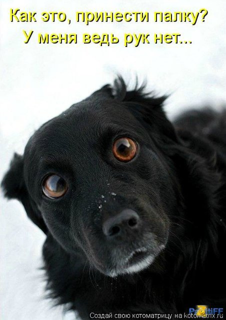 Понедельник - день тяжёлый | Бэйбики Понедельник - день тяжёлый