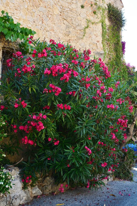 Ницца, Марсель, море и горы