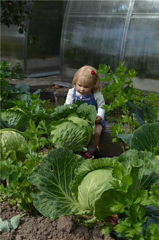 Лето прошло, а фоточки остались