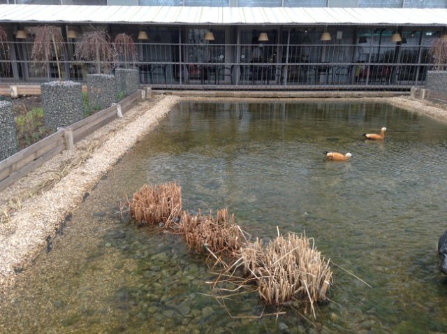 Прогулка по парку с этническими куколками Adora, Tonner, Oldenburg, Creedy