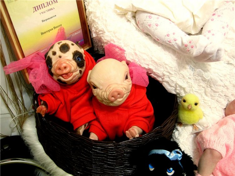 МишкаГрад 2016. Х Московская международная выставка моими глазами. Фоторепортаж