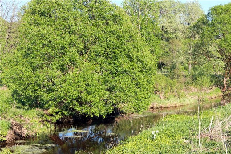 Субботний вояж. Заключительная часть