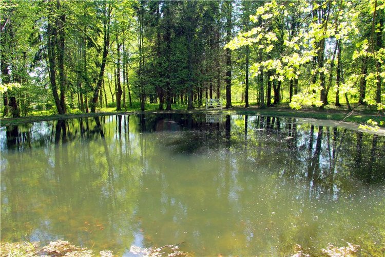 Субботний вояж. Часть вторая | Бэйбики Субботний вояж. Часть вторая