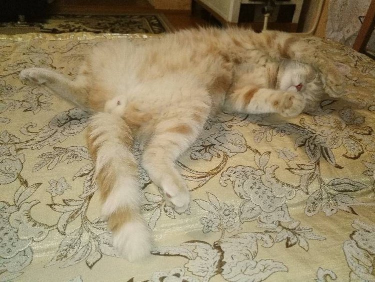 Те, кто нас любит и в домашнем халате, и без косметики, и растрепанными | Бэйбики Те, кто нас любит и в домашнем халате, и без косметики, и растрепанными