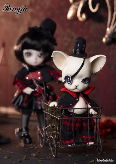 Куколки Ai и Pangju - кто они? Давайте разберёмся