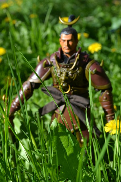 Двое из Пяти Тигров Шу (五虎将): Ма Чао и Хуан Жонг