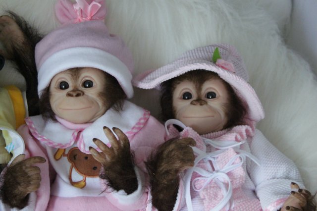 Развеселая компания (или мини-зоопарк)! Куклы реборн Вишни Виктории