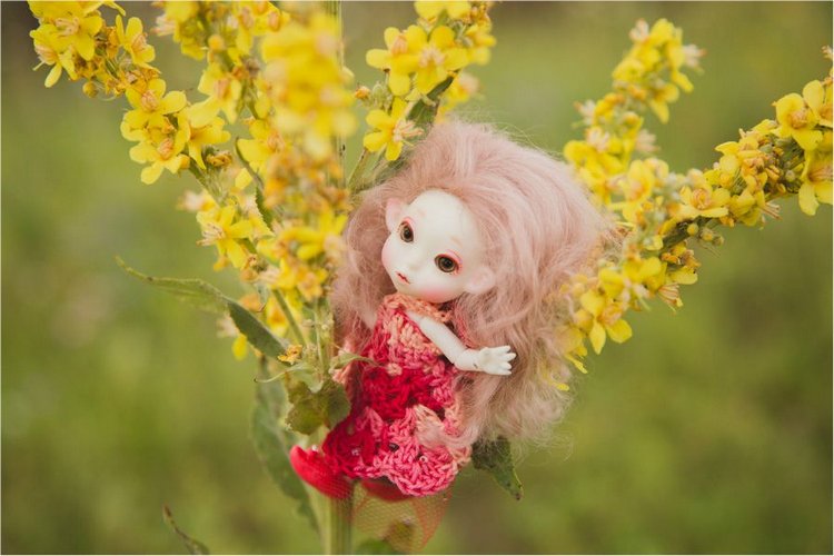 Немного лета на закате — Куклы Peaks Woods (Пиксвудс): BJD (БЖД) (фото 10)