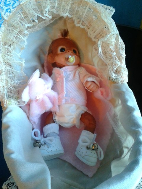 Мини Зизи — Куклы Реборн (Reborn): домашние фото (фото 8)