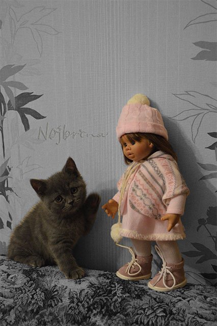 Серый кот. Вихтели Schildkroet (фото 9)