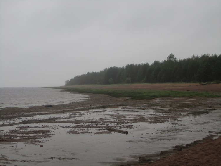 Назад в прошлое | Бэйбики Назад в прошлое — Болталка и разговоры обо всем: жизнь