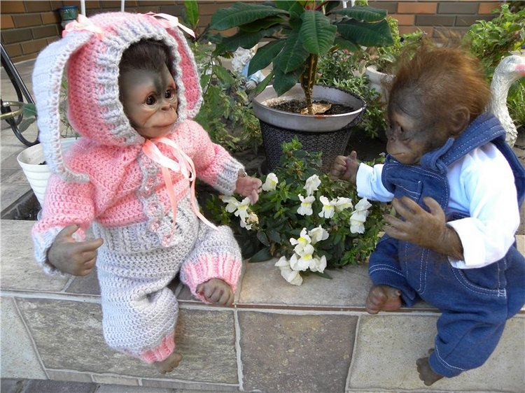 Необычное пополнение в моем доме (фото 9)