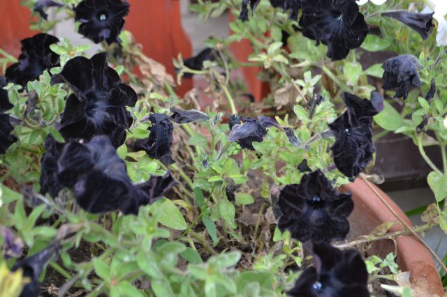 Осенние модницы — Одежда и обувь для кукол своими руками: фото