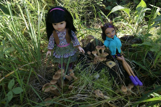 Как Лиу и Клодин за грибами ездили