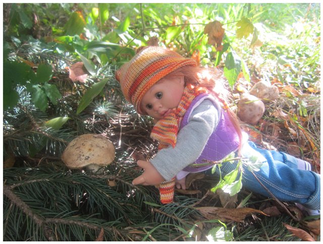 "Неприятный случай" или Ёжик, осень, грибочки. Wichtel, Rosemarie Anna Muller