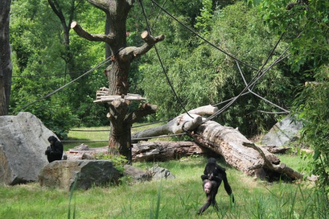 Сказка о Мишеле, BJD часть 2