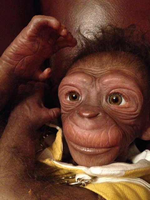 Гога, он же Гоша,он же Гора, он же Жора, здесь проживает? кукла реборн Элины Кудрявцевой