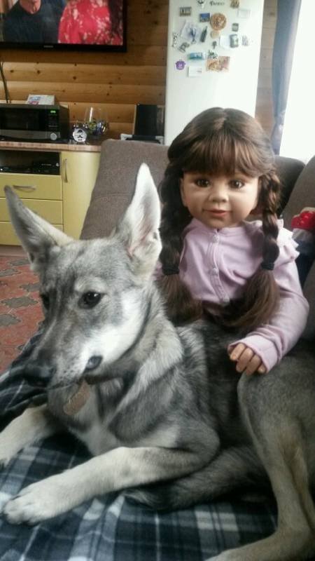 Наше участие в конкурсе Кукла и питомец | Бэйбики Наше участие в конкурсе Кукла и питомец (фото 2)