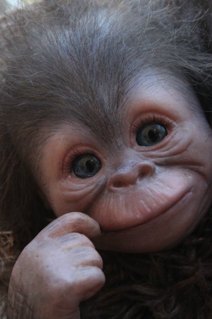 Обезьяныши реборн Элины Кудрявцевой