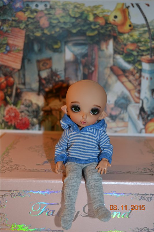 Такие чудные ПукиФи - наш новый член семьи