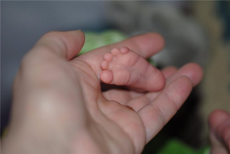 Весеннее эльфийское настроение