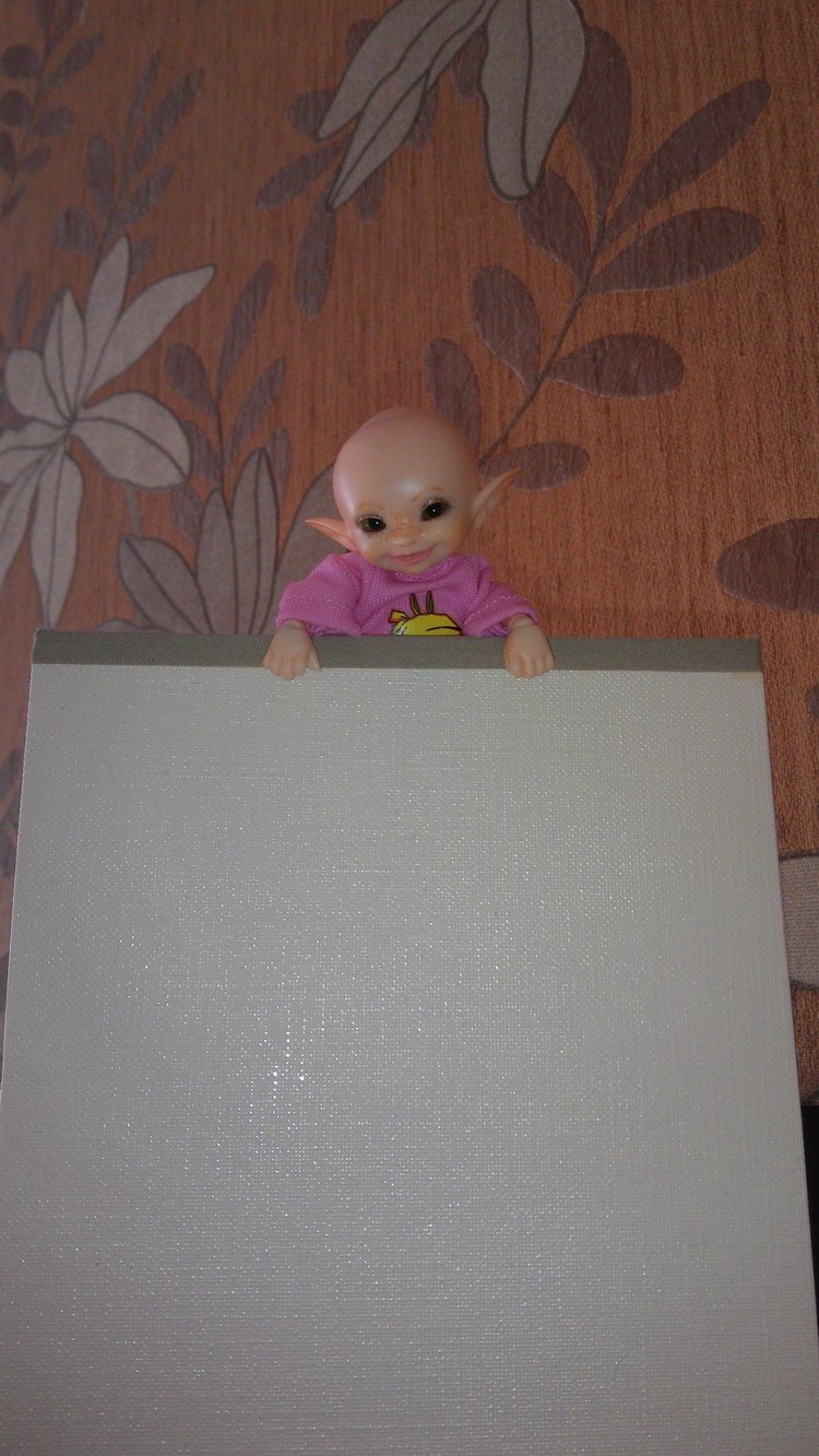 Кто живет в моей сумке — Куклы Fairyland (ФэйриЛэнд): BJD (БЖД)