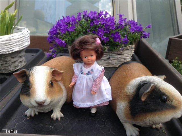 Маленькие садовники или весна в Аптекарском огороде (фото 3)