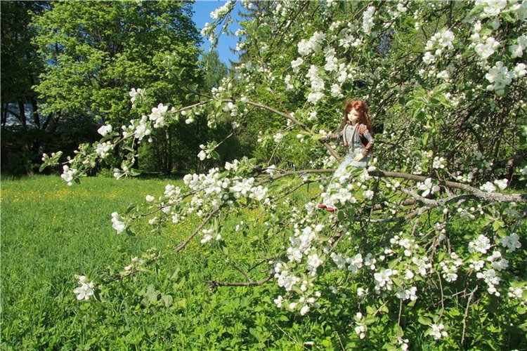 Субботний вояж. Третья часть | Бэйбики Субботний вояж. Третья часть