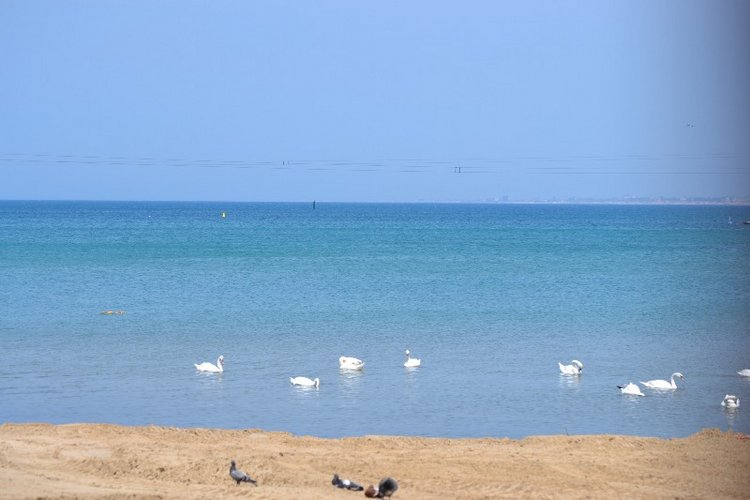 О чем мечтает Мариетта — Куклы Carmen Gonzalez (Кармен Гонсалез): Мариетта