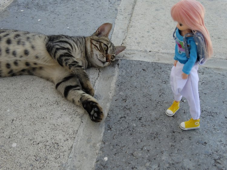 Воспоминание о лете. Куколки мамачап