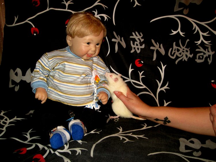 Маш новенький малыш Ванечка. Коллекционная кукла Tinneke Steensens | Бэйбики Маш новенький малыш Ванечка. Коллекционная кукла Tinneke Steensens