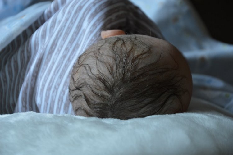 Часть 2 Окончание. Наша рождественская история