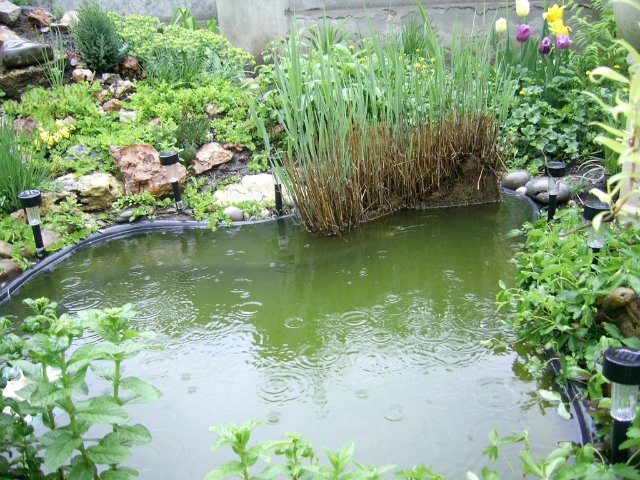 Коллекционная кукла Пиппина от Сюзан Липпл