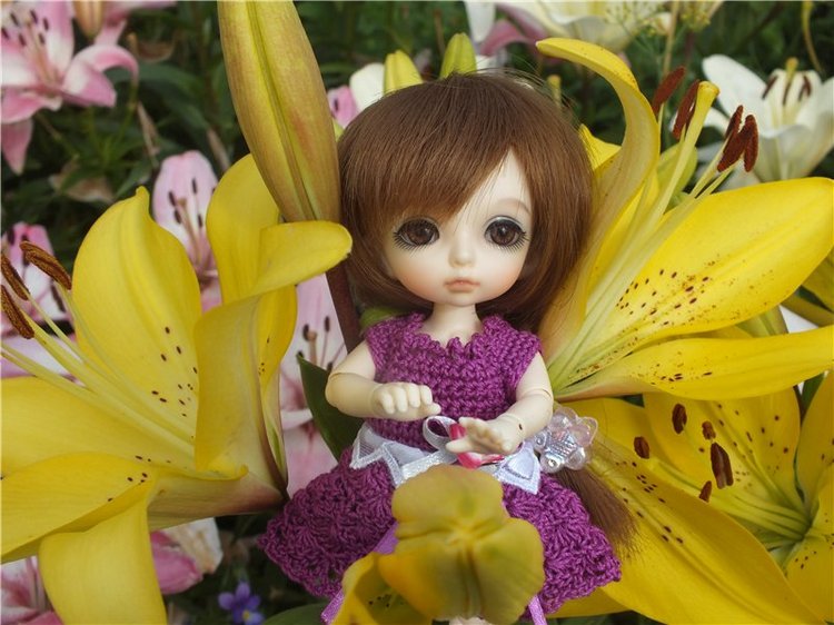 Моя сладкая и очень любимая Зойка.(PukiFee Zoe)