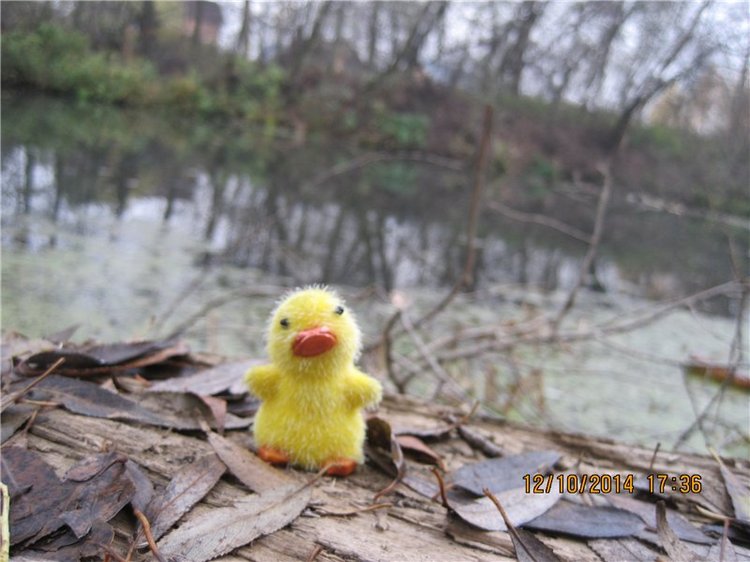 Дружок — Интересные игрушки и фигурки (разное): редкие