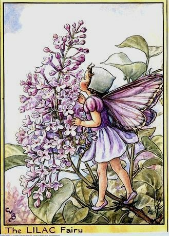 Добро пожаловать в мир ЦВЕТОЧНЫХ ФЕЙ