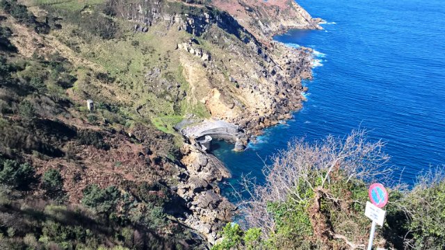 Пегий пёс, бегущий краем моря