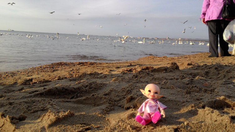 Кто живет в моей сумке — Куклы Fairyland (ФэйриЛэнд): BJD (БЖД)