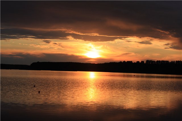 Аленький цветочек, сказка