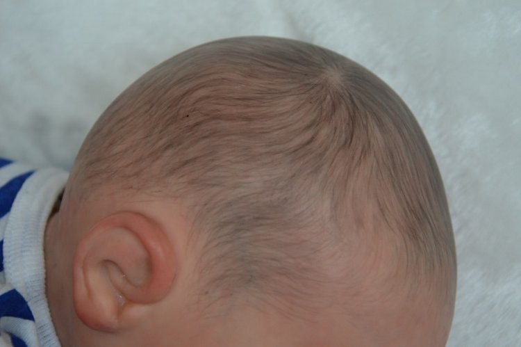 Малыш "Пойдем гулять!" — Куклы Реборн (Reborn): работы мастеров