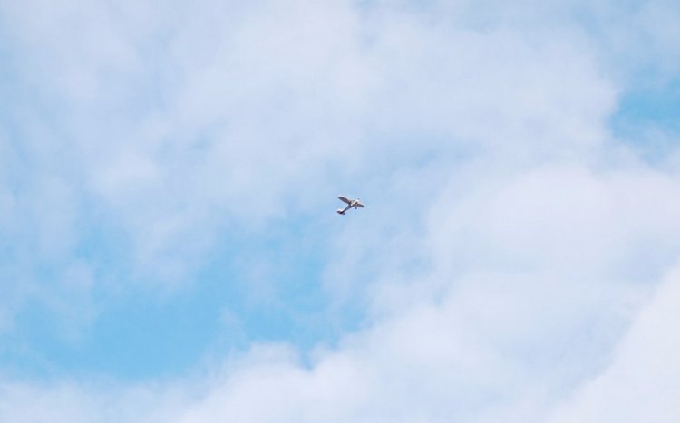 Сегодня я турист. Ораниенбаум